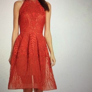 bronx and banco Dresses - Notte Lace Fit & Flare dress bronx and banco Dresses - Notte Lace Fit & Flare dress